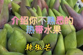 #新鲜应季水果 #海南水果大全 #热带水果视频封面