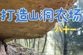 今天来山洞农场的猪圈做出来，鸭子和鹅都放到农场里来 #新农人计划2024 #三农 #我的农场生活视频封面