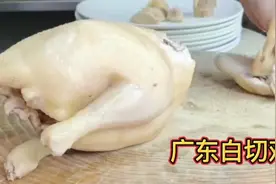 很多人斩白切鸡不会下刀，看饭店厨师这样斩，省时省力值得收藏。