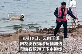 女子带狗下抚仙湖游泳 景区：属饮用水禁止下水游泳，除罚款外会上黑名单视频封面