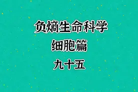 负熵调控如何确保细胞内能量供应？ #生命科学 #负熵 #细胞