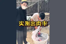 一只活羊能出多少肉，贝姐亲测给你看！#新疆羊 #新疆羊肉 #新疆美食 #草膘羊肉