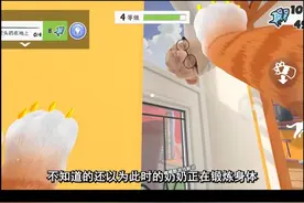 #233乐园#奶奶的贴心小猫（官方正版）
