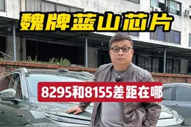 聊聊8295芯片和8155芯片之间的差距，方便你选车做参考