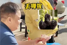 #上热门 广西方言“丢哪猩”有多少人懂#广东猛哥#方言#广西 #记录真实生活视频封面