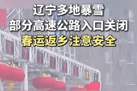 辽宁多地暴雪，部分高速公路入口关闭，春运返乡注意安全！#辽宁高速公路入口全部关闭