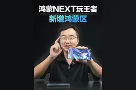 鸿蒙NEXT上线王者荣耀鸿蒙区！ 以后是不是可以转区了？#手机