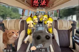 当你在五一春游的车上惊艳全场 #猫meme #五一假期 #内容过于真实
