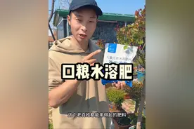 性价比很高的生长肥水溶肥含微量元素养花追肥 这价格还要什么复合肥，懂的人已经在用了！#花肥 #肥料新知识 #月季施肥 #家用养花通用肥视频封面