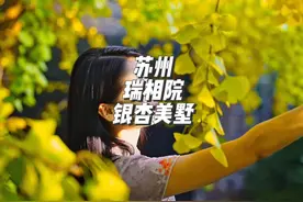 我在这里见到了苏州的秋天#来苏州的100个理由视频封面