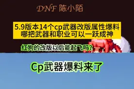 DNF5.9版本14职业的cp武器改版属性爆料来了！有没有哪个职业能起飞的？#dnf #dnf地下城 #dnf西装节 #dnf联动snk #地下城与勇士视频封面