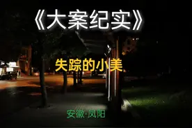 失踪的小美 离家出走的女儿，毫无踪迹，到底去了何处……视频封面