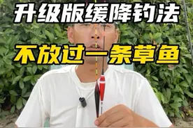 升级版滑漂双铅全水层缓降钓法，不放过任何一条草鱼 #野钓 #钓鱼技巧 #滑漂 #草鱼 #老坛甜薯视频封面