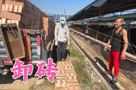 牛圈建设又开始了，买红砖铺草棚地面，2毛2一块价格不算太贵