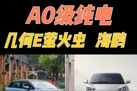 10万以内A0级电车怎么选？吉利几何E萤火虫，还是比亚迪海鸥？