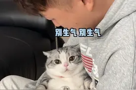 当我买猫窝时忘记看尺寸 #起司猫 #人类猫窝 #oi小猫有点火热啊 #高爷家猫粮