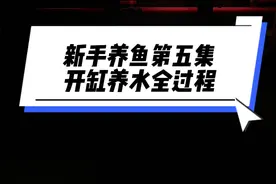 新手入坑指南5开缸养水，按着步骤来，是个人都是水清鱼靓。管住自己加新鱼的心，按住自己喂食的手。开缸养水就非常简单了。#养鱼日记 #新手养鱼 #开缸 #新手养鱼 #新手养鱼入门基础教程视频封面