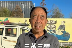 经过三蒸三晒梅干菜终于做好了，以其独特的香气和口感，征服了无数人的味蕾，按传统方法做出来的梅菜放一年也不会坏，点好关注咱们一起做梅菜扣肉#记录真实生活 #梅干菜 #新农人计划2024 #三农 #晒干菜