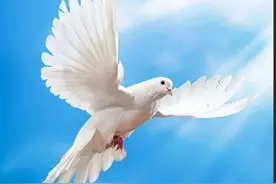 1945年8月15日，日本宣布无条件投降。生于中国始于华夏视频封面