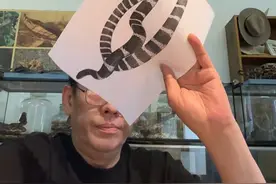 银环蛇咬伤的症状与致死原因 银环蛇咬伤症状包括局部麻木、头晕眼花、肌肉关节酸痛等，最终导致呼吸衰竭。被咬伤后应在伤口上方20-30厘米处捆扎，延缓中毒，避免挤压伤口。#银环蛇咬伤