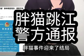 大家都欠谭竹一个对不起，胖猫事件结局#警方通报胖猫跳江事件视频封面