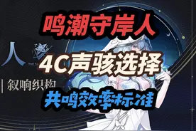 守岸人的4C声骇选治疗效果还是生命，以及共鸣效率要求视频封面