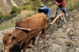 这是诗和远方😄#农村生活 #记录真实生活 #我的乡村生活 #我的生活日记 #俄亚大村视频封面