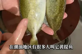 泥猛魚肉质口感不但好吃，烧汤味道也是绝绝子！#潮汕美食藏不住了 #泥猛鱼