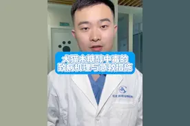 为什么木糖醇对人没毒却对犬猫有毒，#犬猫木糖醇致病机理 #犬猫木糖醇中毒的急救措施#宠物医生科普 #狗木糖醇中毒视频封面