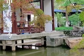 菊花赋诗《咏菊》来了 #黛玉焚稿片段  名曲与君共赏 #华怡青经典唱段视频封面