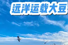 八万吨级的远洋船，横跨太平洋，去美洲运载大豆，在海上要航行30多天，祝愿航安！