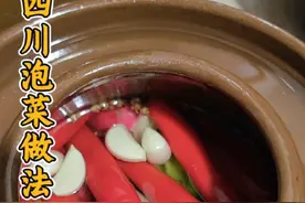 四川泡菜的做法，盐水比例多少合适，如何养护不起白花 #泡菜 #农村美食 #美食 #纯天然无添加 #我的厨房日记