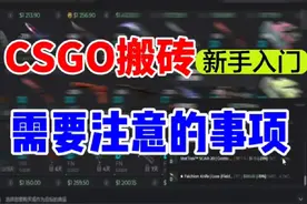 CSGO搬砖了解下#csgo饰品 #cs2教学 #steam搬砖 #游戏搬砖项目