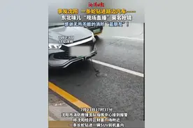 事发沈阳 一条蛇钻进路边汽车……东北味儿“现场直播”莫名抢镜 感谢无所不能的消防“蓝朋友”！#惊险时刻