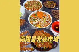星光夜市城汇聚了20多家美食，每天晚上灯火辉煌，满满的烟火味儿！#夜市里的烟火气 #吃货日常 #城市里的烟火气 #人气爆棚 #南阳吃货圈