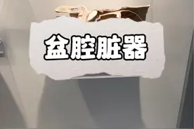 盆腔里有哪些器官 #人体奥秘 #人体结构 #器官