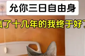 “允你三日自由身,了却人间凡尘事”#猫meme剧场 #故事源于网络视频封面