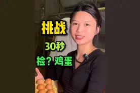30秒捡鸡蛋挑战，兄弟姐妹们这速度还行吧？#捡鸡蛋 #捡鸡蛋挑战 #90后贷款创业视频封面