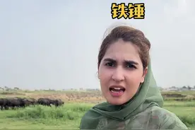 巴铁岳父着手培养养牛接班人，中国女婿能胜任吗？#我的岳父俩老婆 #巴铁养牛大户瓦基德 #宋铁锤 #海外生活vlog视频封面