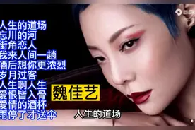 魏佳艺，出生于甘肃省兰州市。中国内地女歌手。代表作