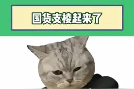 长虹AI TV+DeepSeek，这波“智斗”赢麻了！#DeepSeek #长虹AITV #AI #人工智能 #深度思考视频封面