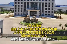 #康欣新材：连续3年中报亏损，今年上半年亏损8728.07万元#风口财报#A股#中报（编辑 春慧）视频封面