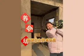 住在养鸡场里？#情侣日常 #搞笑#万万没想到#搞笑视频