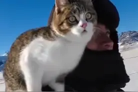 #悟空主人账号变成私密 此前公布悟空真正的死因后视频被删除#赵朔账号变成私密 #悟空 #赵朔