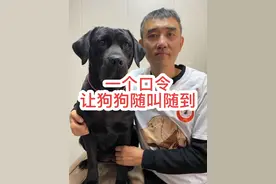 狗狗跑出去叫不回来怎么办？ 让狗狗随叫随到的两个好办法。狗狗撒出去叫不回来怎么办？#狗狗 #新手养狗 #养犬知识 #狗狗的日常 #狗狗的心思都写在脸上了视频封面