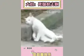 大姐早崩溃了但是不敢奔溃#万万想不到 #堵车 #电动车 #杭州 #西兴大桥