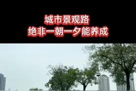 这条路的风景直接影响了海河城区下游段的魅力，非常重要，建议请专家现场论证，找到具体问题原因，重新建设#城市风景视频封面