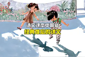 回忆小学语文课本中那些经典难忘的课文……#童年回忆 #小学语文视频封面