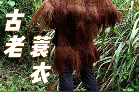 #创作灵感 蓑衣有着千年历史记录，是古人主要用于农耕时的避雨工具。#民间手艺