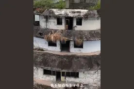 石盘龙泉湖被遗弃25年的豪华游轮！目前依然无从了解当年为何被遗弃，当地人也闭口不谈#石盘龙泉湖水库#网红旅游地点推荐 #龙泉湖#遗弃游轮#历史古迹 @抖音短视频 @抖音热点宝 @抖音媒体内容优推官